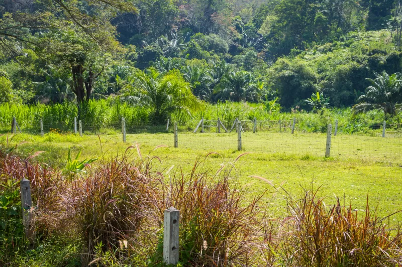 Забор на пастбище конной фермы