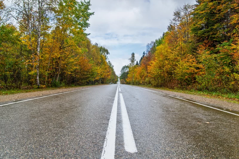 Осенняя дорога через лес Адыгеи