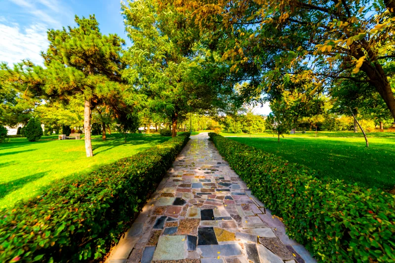 Flowerbeds, Grass Pathway and Ornamental Vase in a Formal Garden