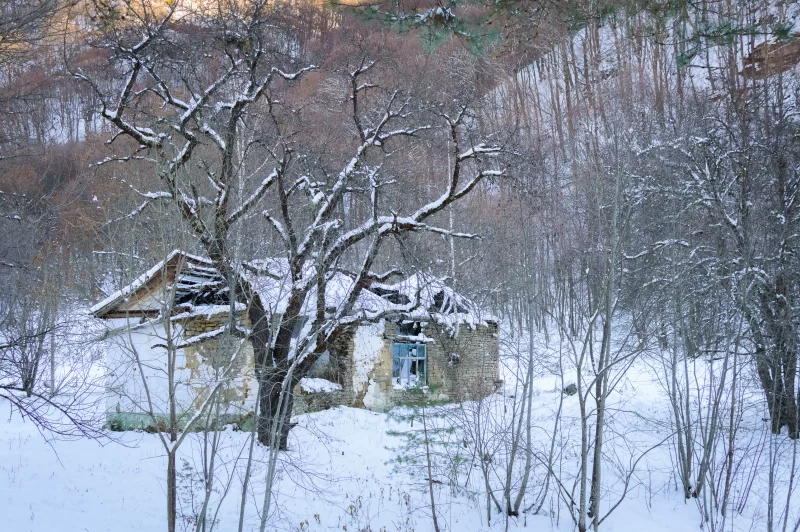 Заброшенный деревенский дом в зимнем лесу