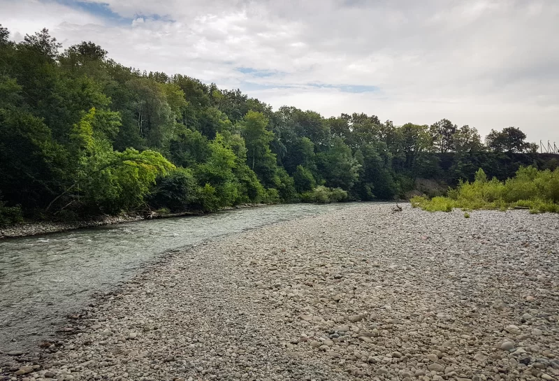 Calm river and picturesque forest shore