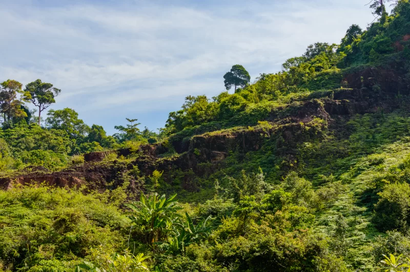Летний горный пейзаж