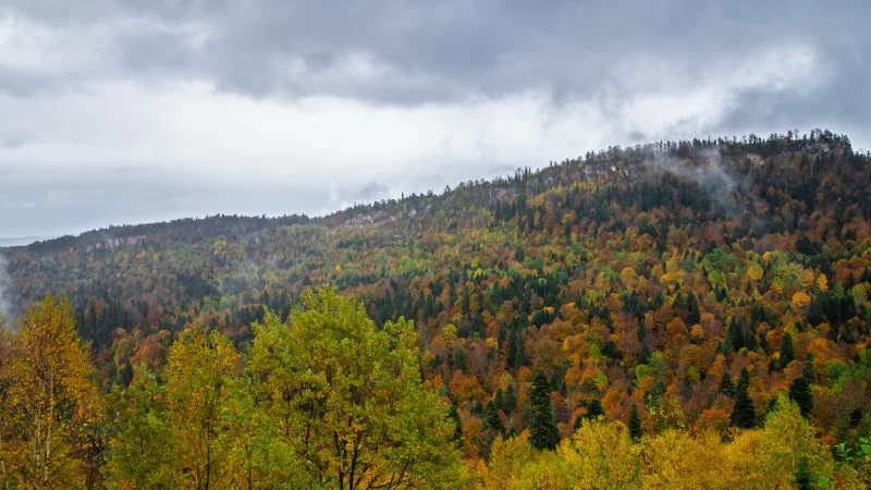 Autumn forest in Adygea under cloudy sky