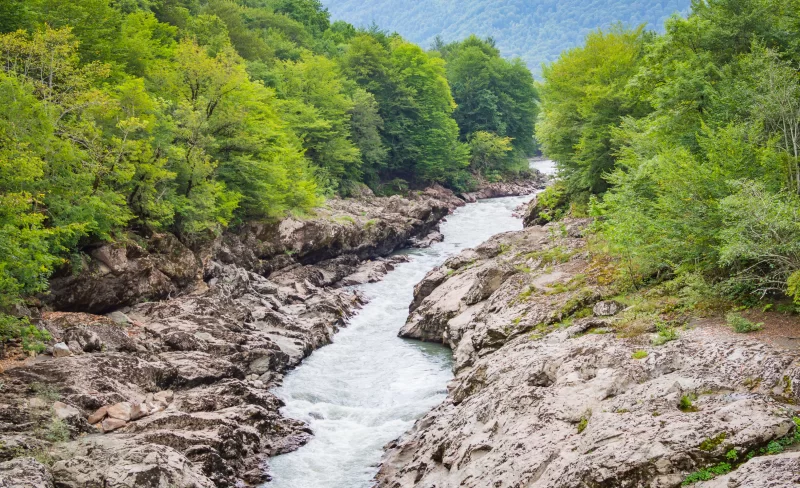 Величественная горная река, протекающая сквозь каньон, утопающий в зелени
