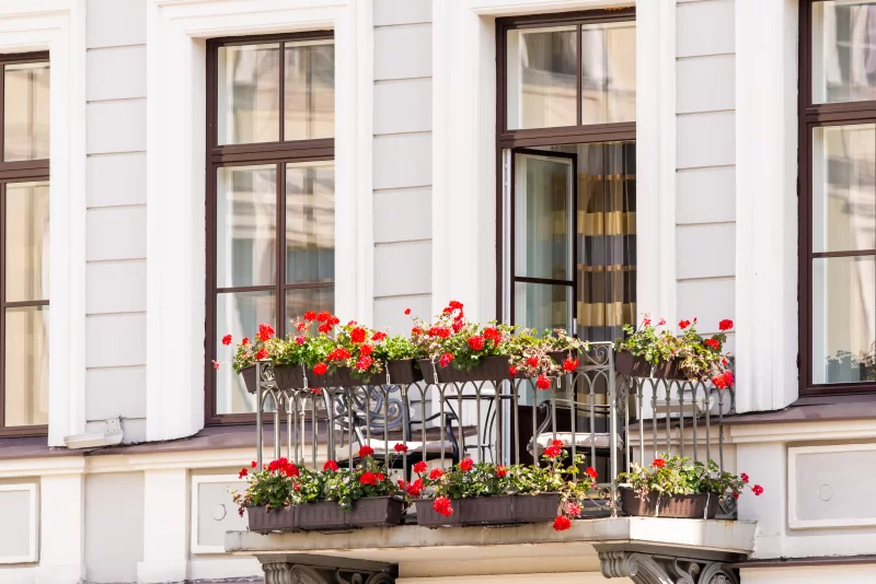 Цветы в горшках на балконе в классическом стиле в Европе.