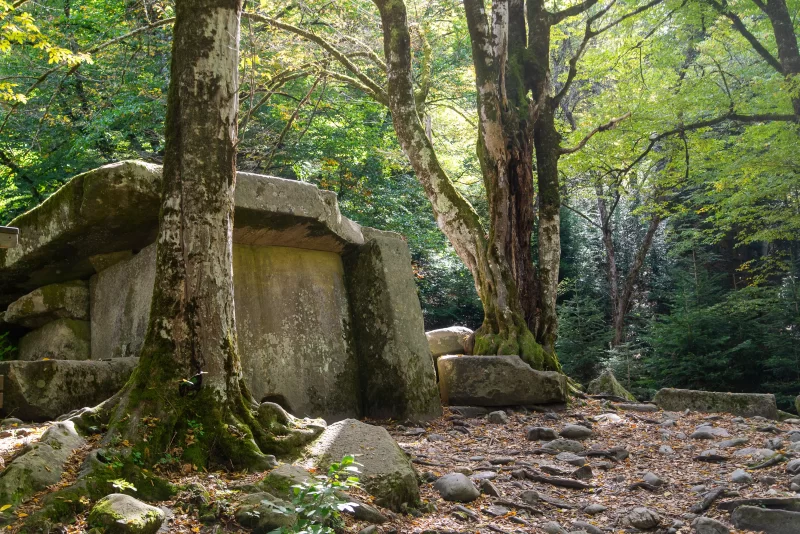 Древний дольмен в лесу Адыгеи