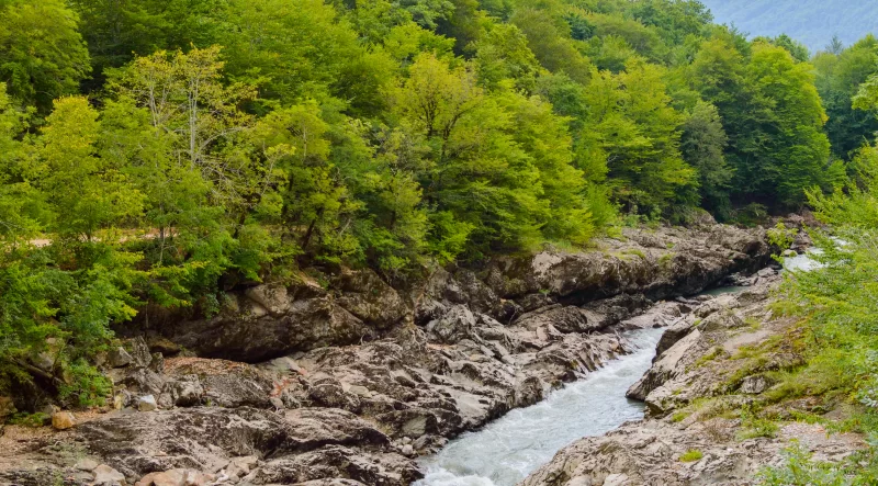 Горная река среди пышной зелени