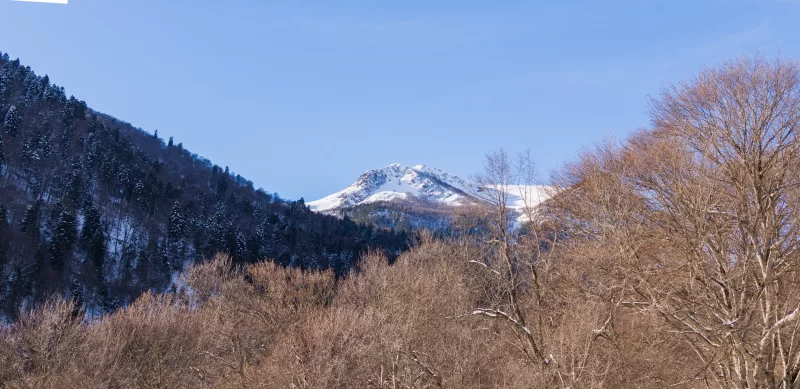 Winter mountains and forest