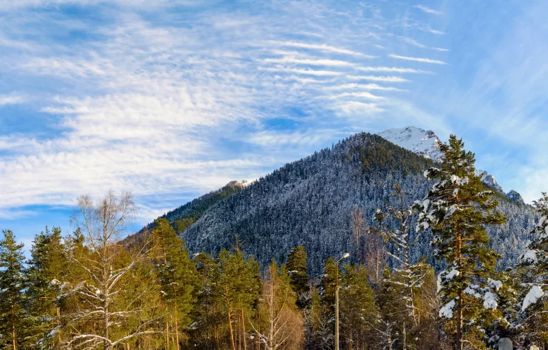 Зимний пейзаж: гора и лес