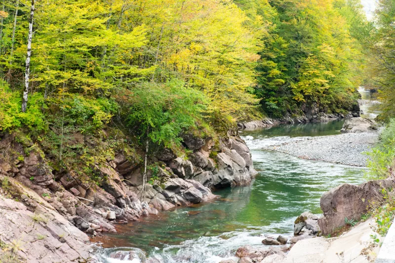 Река Адыгея, протекающая сквозь осенний лес