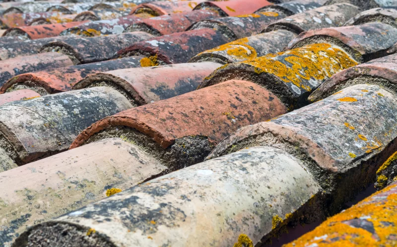 старая черепица на крыше со мхом