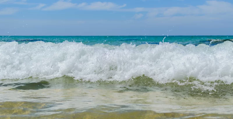 Tropical sea wave close up view