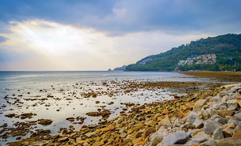 Rocky beach at sunset