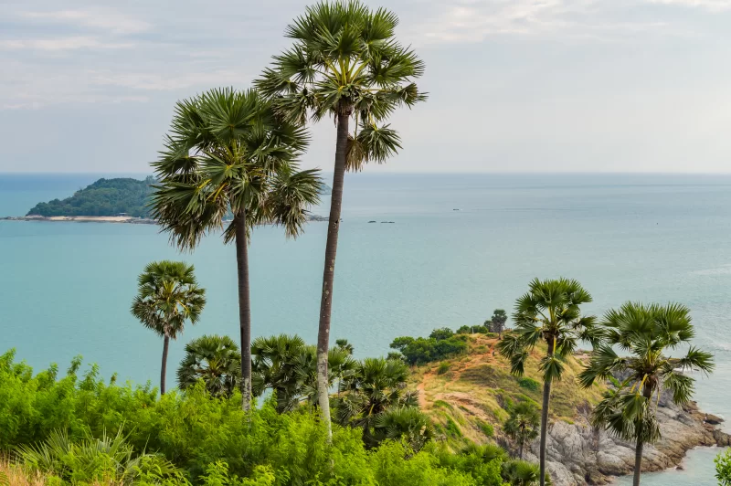 смотровая площадка мыса Промтеп