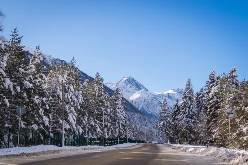 Зимняя дорога в заснеженных горах: путешествие сквозь сказочный лес