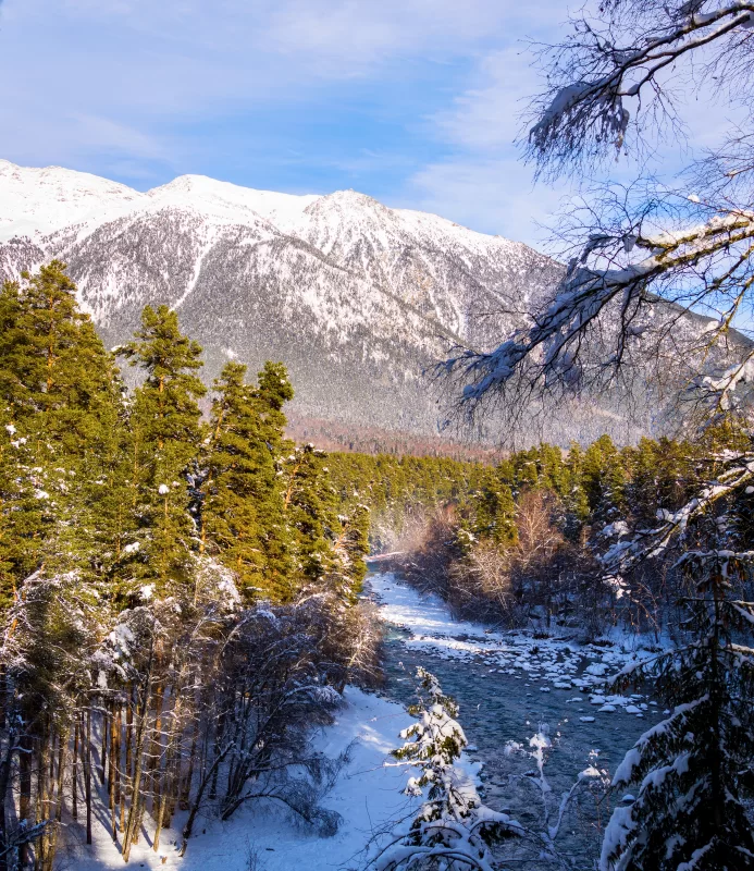 Зимний пейзаж: горы, лес и река