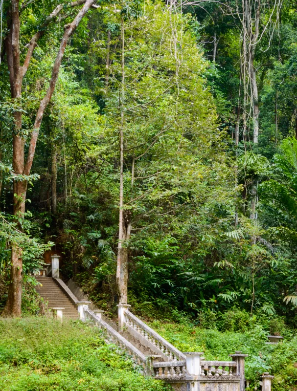 Лестница в городском парке