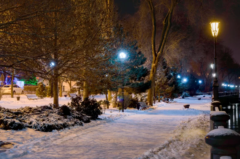 Night winter landscape in the alley of city park