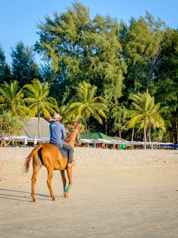 Наездник на лошади вдоль тропического пляжа на закате