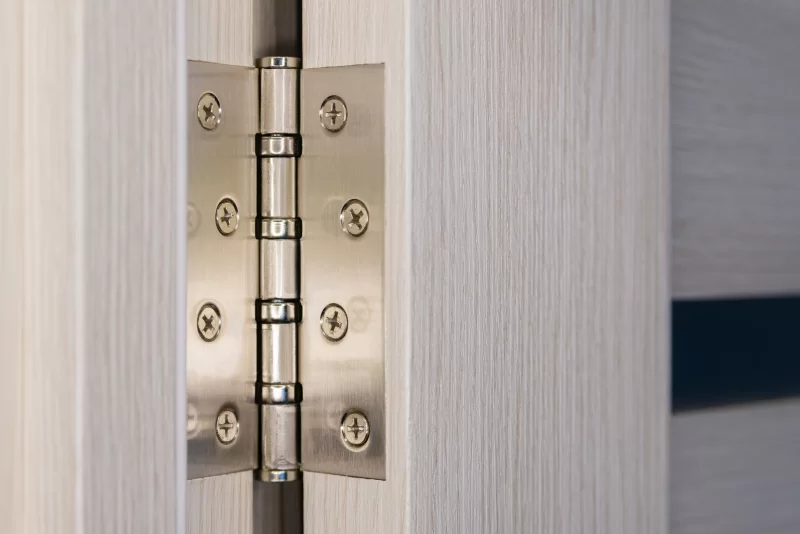 Дверная петля