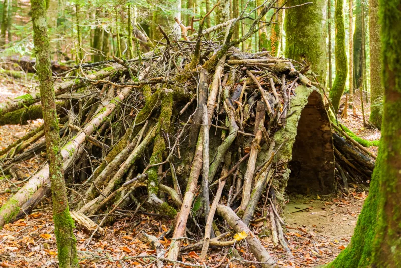 Примитивное укрытие, построенное в лесу Адыгеи.