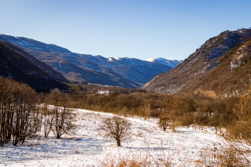 Зимний горный пейзаж с заснеженными склонами и деревьями