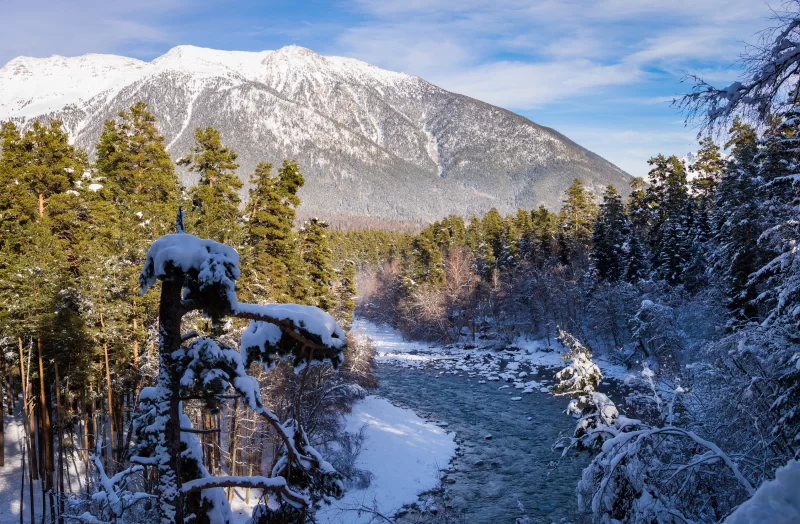 Зимний горный пейзаж с рекой и лесом