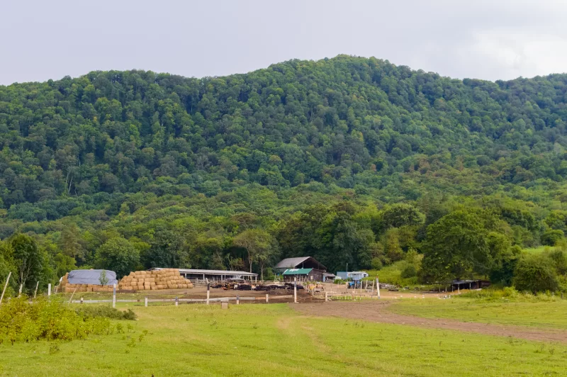 Ферма на фоне зеленого холма