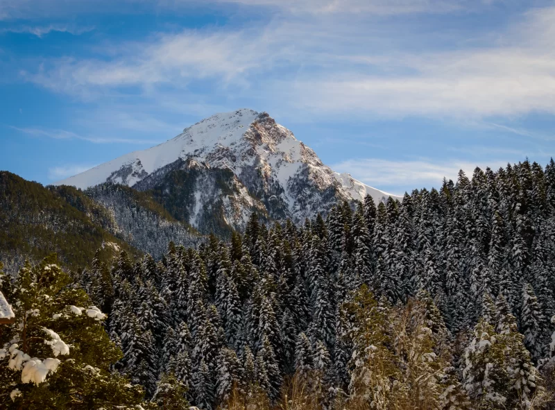 Winter peak and spruce forest