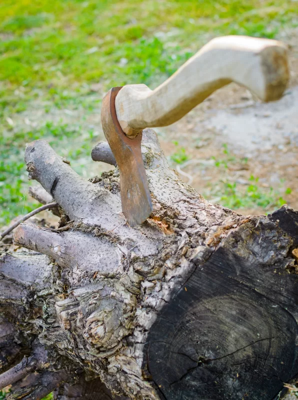 Топор в бревне: символ труда и деревенской жизни