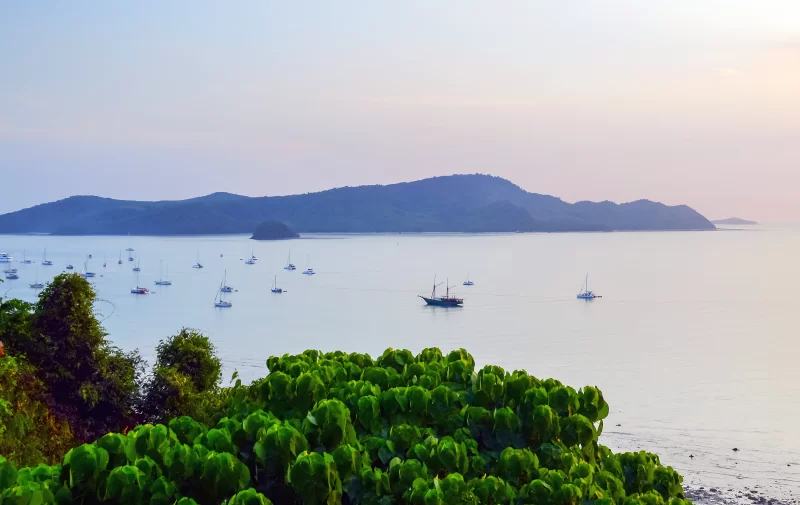 лодки и яхты стоят на якоре в заливе во время отлива