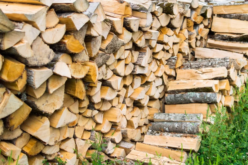 Stack of firewood against green background