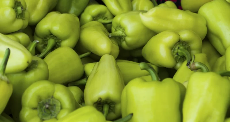 Свежие зеленые перцы крупным планом: изобилие урожая