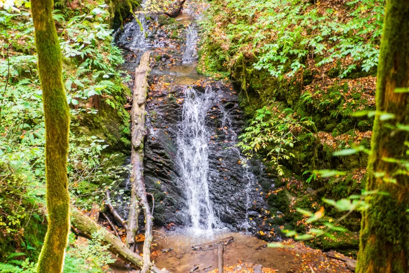 Lush forest waterfall in Adygea