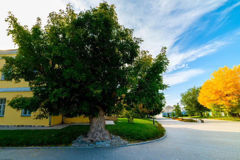 Клумбы, травяная дорожка и декоративная ваза в формальном саду