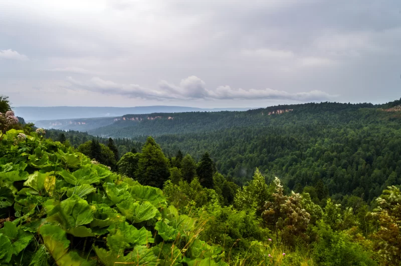 Горный пейзаж. Грозовые тучи в горах.