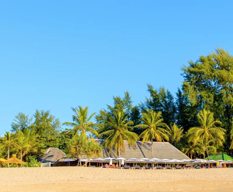 Restaurant with terrace on the beach