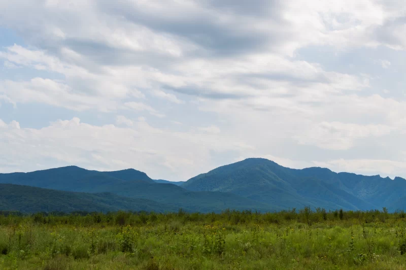 Величественный горный пейзаж с изумрудной поляной и живописным небом