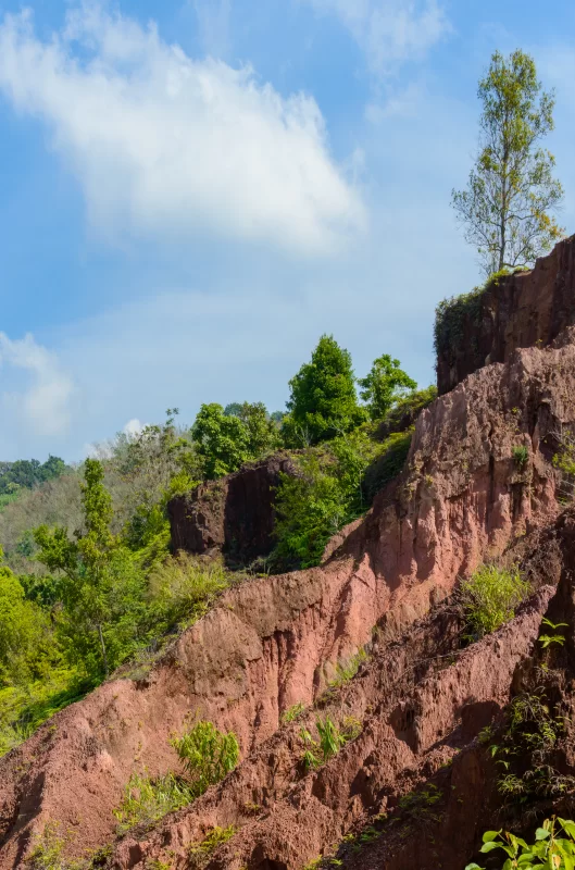 Летний горный пейзаж