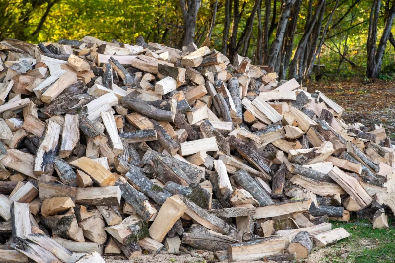Большая поленница дров в Адыгее