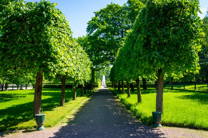 Park alley with fountain