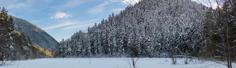 Majestic winter forest and snow-covered mountains