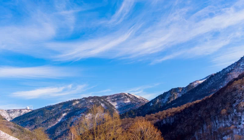 Снежные зимние горы с хвойным лесом