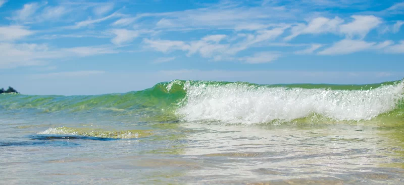 Tropical sea wave close up view