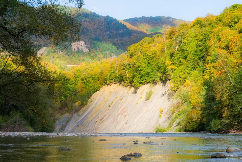 Яркий осенний лес и река в Адыгее