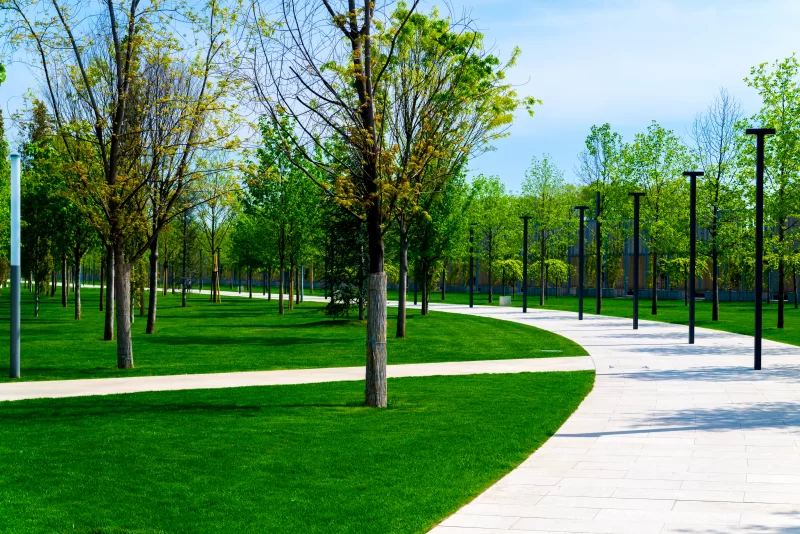 Пешеходная дорожка в городском парке с городскими фонарями или огнями