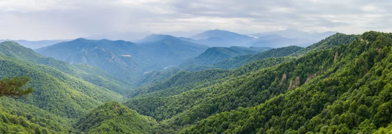 Зеленые горы и туманная даль