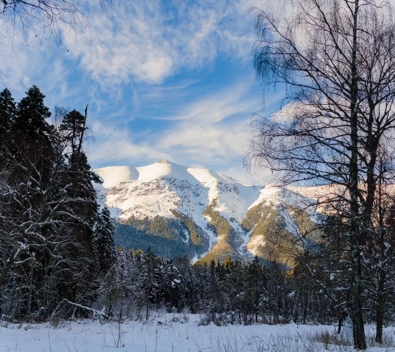Majestic snow-covered mountains with forest in a winter landscape