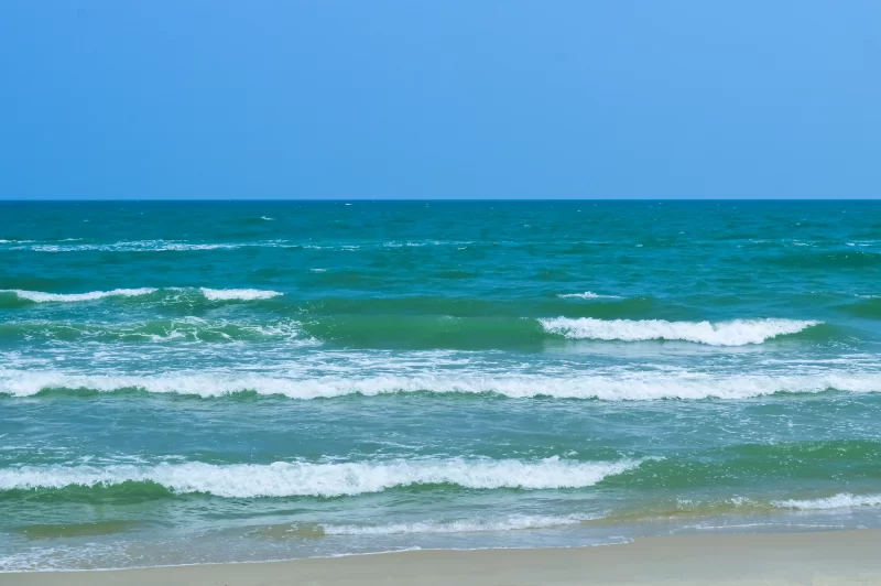 Tropical beach and Wave