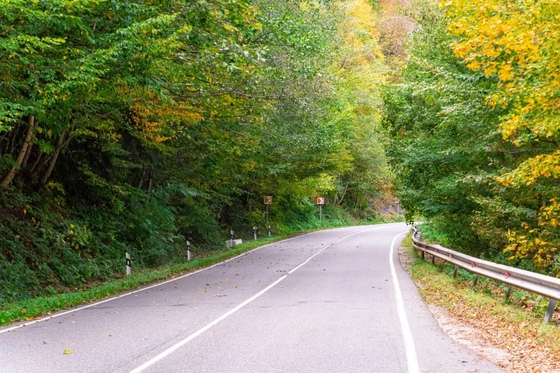 Извилистая дорога по лесу Адыгеи